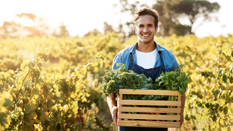 Cadastro Ambiental Rural