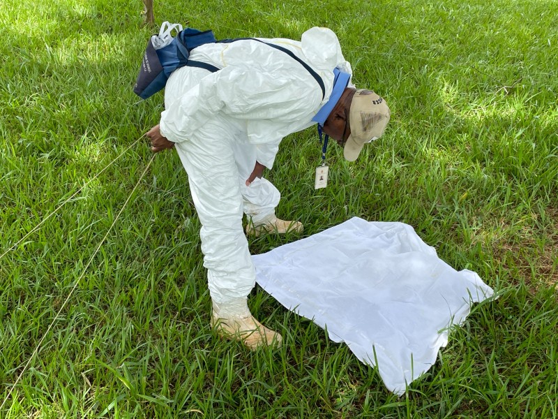 avaliação acarológica